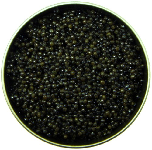 100g stör kaviar amur royal - kaviar,