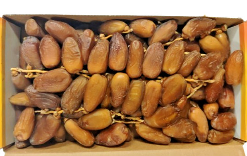 Deglet nour datteln - deglet, 5
