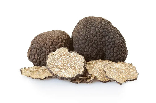 Frische schwarze trüffel aus - frische,